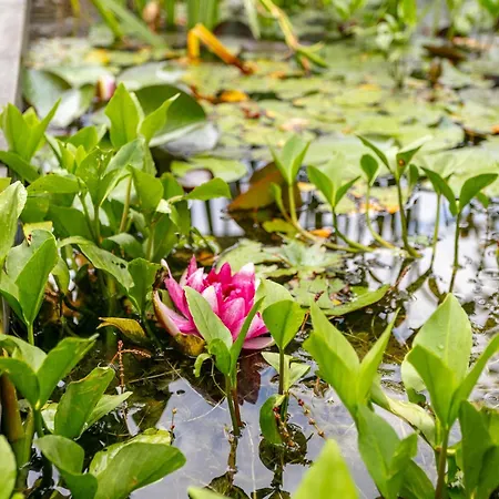 Horská chata Im Wald *