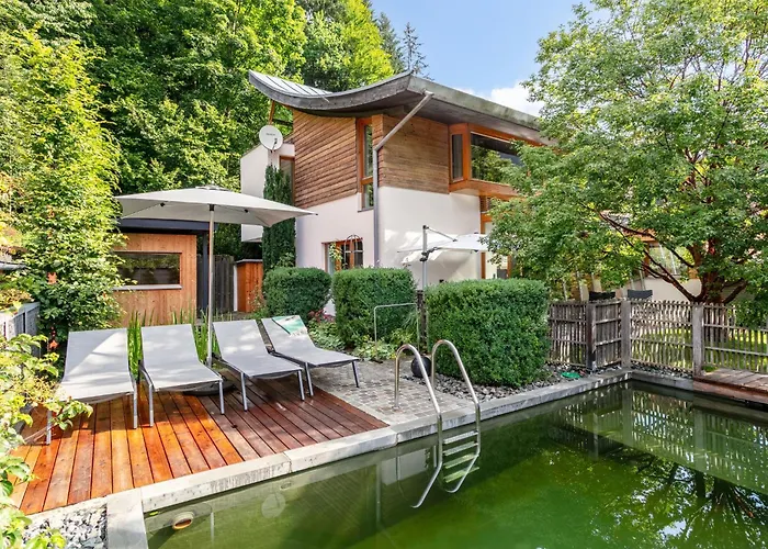 Im Wald Alpstuga Hopfgarten im Brixental