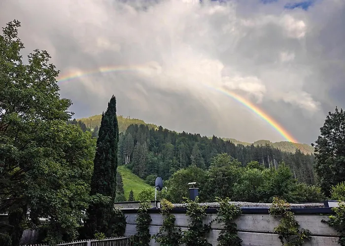 Im Wald Hopfgarten im Brixental