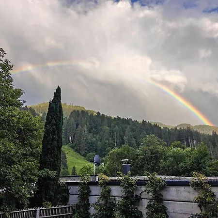 Im Wald Hopfgarten im Brixental